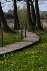 Wooden footpath for walks in the park by the lake