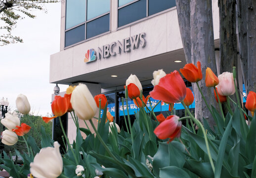 Tulips in front of the NBC News building in Washington, DC