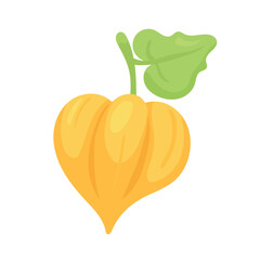 Physalis. Peruvian groundcherry. Flat vector, clipart illustration isolated on white background.