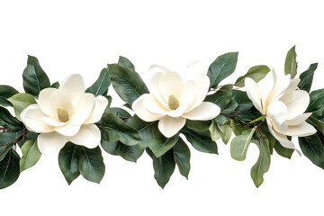 Obraz premium Three white blooms amid verdant foliage on a transparent background. Nature's beauty is captured in this composition