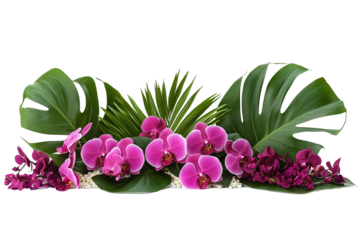Tropical arrangement with vibrant pink orchids, monstera leaves, and white rocks for a fresh, nature-inspired aesthetic