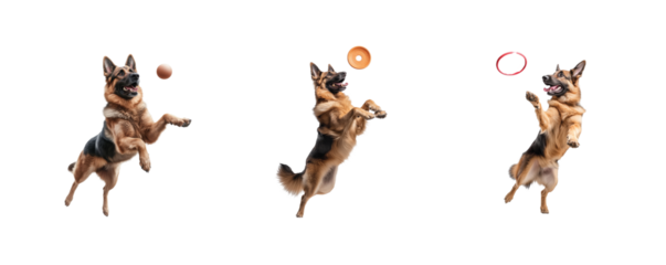 dogs jumping and catching various colorful rings in mid-air 3d