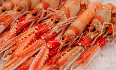 Langoustine close up background, seafood shrimp 
