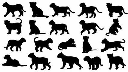 set of lion cub  silhouette vector on white background