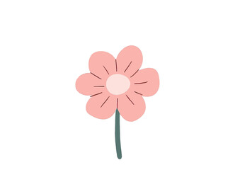 Pink flower with green stem on white background