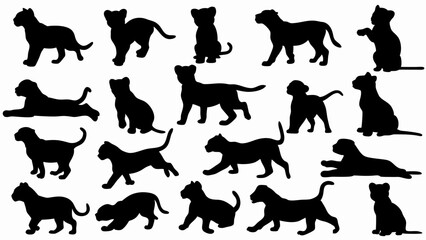 set of lion cub  silhouette vector on white background