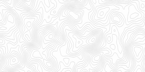 White topography topology vector white background fresh contour map texture. white seamless pattern Abstract background with a wave Topography and geography map grid abstract backdrop.