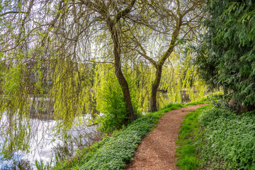 Obraz premium Park with small pond and path at summer day in Vancouver, Canada, North America. Day time on April 2025.