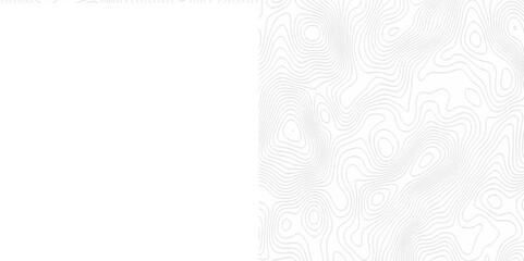 White topography topology vector white background fresh contour map texture. white seamless pattern Abstract background with a wave Topography and geography map grid abstract backdrop.