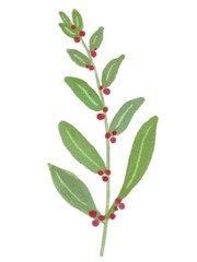 Minimal cute flowers 