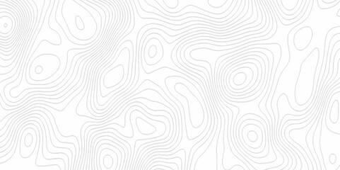 White topography topology vector white background fresh contour map texture. white seamless pattern Abstract background with a wave Topography and geography map grid abstract backdrop.