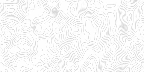 White topography topology vector white background fresh contour map texture. white seamless pattern Abstract background with a wave Topography and geography map grid abstract backdrop.