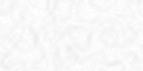 White topography topology vector white background fresh contour map texture. white seamless pattern Abstract background with a wave Topography and geography map grid abstract backdrop.