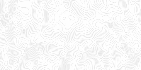 White topography topology vector white background fresh contour map texture. white seamless pattern Abstract background with a wave Topography and geography map grid abstract backdrop.