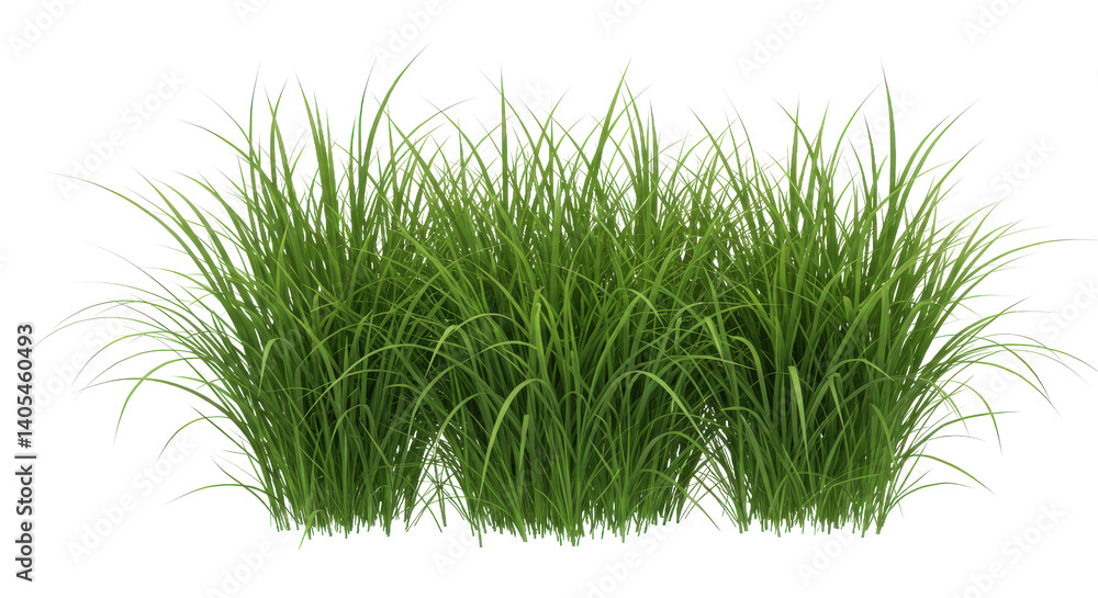 Poster a close up view of three clumps of green grass against a transparent background in a studio shot