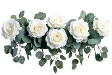 Delicate white roses arranged with eucalyptus leaves offer a touch of nature's beauty against the transparent background