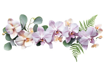 Obraz premium Delicate orchids and ferns artfully arranged against a transparent background creating a botanical centerpiece