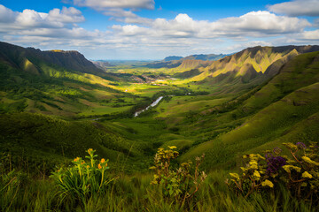 Naklejka premium alpine meadow in the mountains
