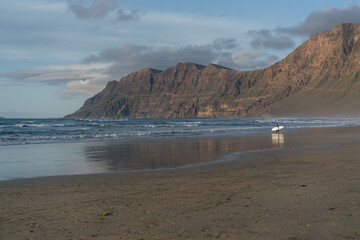 Surfer walking on the sandy beach at sunset. Volcanic mountains of Lanzarote