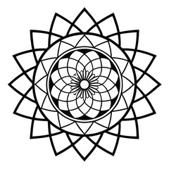 Fototapeta premium black and white abstract flower