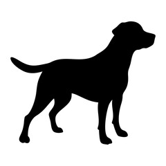 Labrador Retriever Dog collection silhouette black vector on white background. labrador retriever dog silhouette in different positions isolated on white background. 