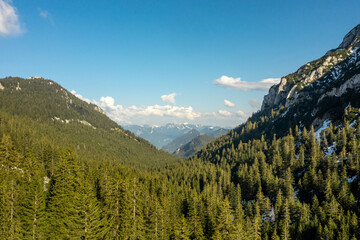 Drone aerial view of pine woodland and mountain peaks in the Bavarian Alps
