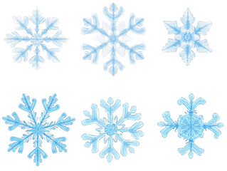 Detailed Digital Illustration of Six Isolated Snowflakes in Blue and White