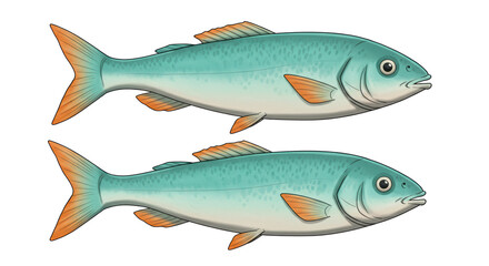 Isolated Two Fresh Fishes