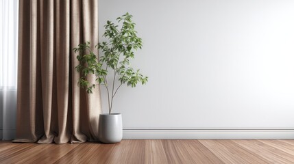 Minimalist interior with plant.