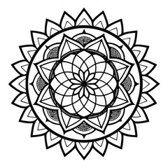 Fototapeta premium abstract flower design