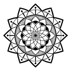 black and white flower