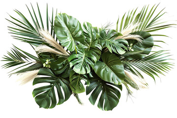 Fototapeta premium Lush tropical foliage arrangement with monstera and palm leaves against a plain background