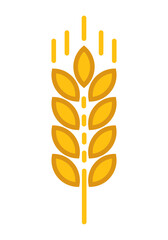 Wheat vector icon design illustration. Oat symbol .Agriculture concept. Ears of Wheat, Barley or Rye vector visual graphic icon, ideal for bread packaging, beer labels etc on white background.