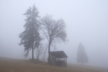 Very misty scenery of hills with wooden hut and trees.
