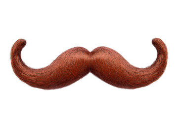 A well-groomed, curly, bright reddish-brown mustache isolated against a solid transparent background. Details of each hair are visible