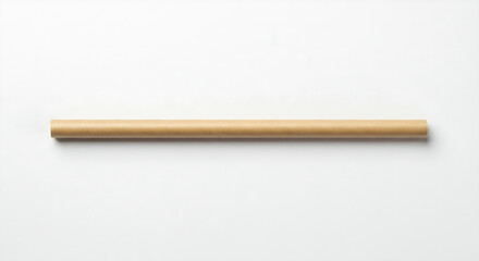 Minimal brown cardboard tube with a smooth cylindrical surface, on a white background for packaging design inspiration.