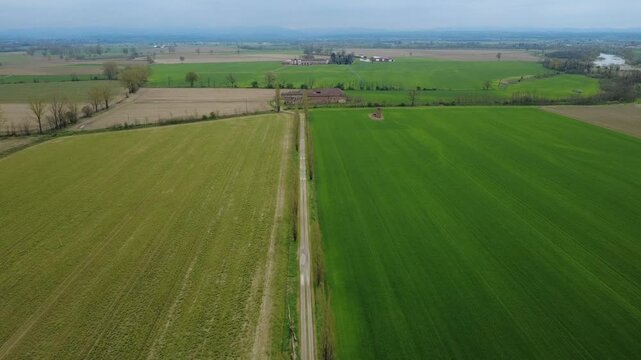 Dal drone pianura Padanacon terre seminate a grano, primavera, verde, strade di campagna, viali di alberi, Bosco Marengo, Alessandria, Piemonte, Italia