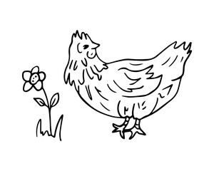 Homemade chicken and flower, vector drawing in doodle style. Farm animals is a monochrome hand-drawn contour illustration. A happy chicken for a brand of home products.