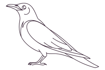 Elegant Line Art Illustration Of A Bird Simple And Minimalist Design Concept