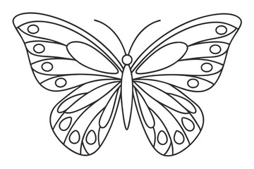 Simple Butterfly Outline Vector Illustration Coloring Page Insect Design Element