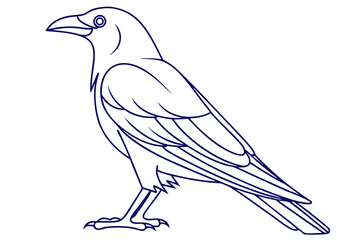 Detailed Crow Outline Vector Illustration Isolated On White Background Design Element