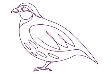 Elegant Quail Bird Illustration Linear Design Isolated On White Background