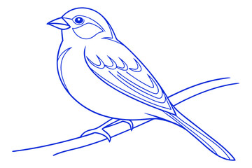 Simple Blue Outline Of A Sparrow Perched On A Twig Isolated Vector