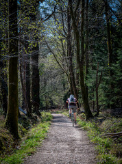 A cyclist riding through English woodland on a spring sunny day.