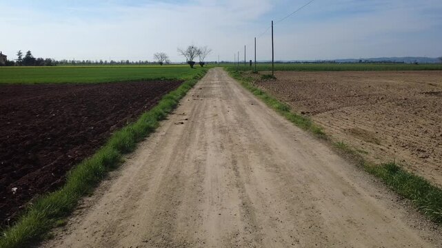 Dal drone pianura Padanacon terre seminate a grano, primavera, verde, strade di campagna, viali di alberi, Bosco Marengo, Alessandria, Piemonte, Italia