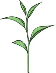Obraz premium green plant isolated on white