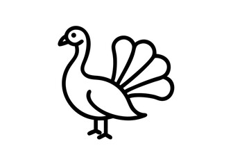Fototapeta premium peacock. bird animal icon.