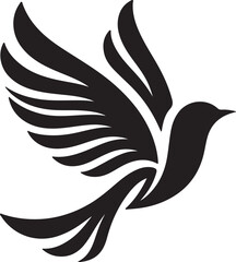 black and white dove