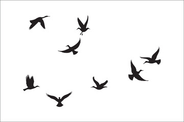 Bird Silhouette Bundle | Flying Birds Vector Clipart | SVG, PNG, EPS for Cricut & Laser Cutting

Birds Vector Silhouettes | Wildlife Animal SVG Files | Digital Bird Clipart for Crafts & Decor

Flying 