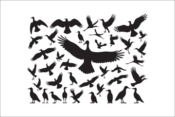 Bird Silhouette Bundle | Flying Birds Vector Clipart | SVG, PNG, EPS for Cricut & Laser Cutting

Birds Vector Silhouettes | Wildlife Animal SVG Files | Digital Bird Clipart for Crafts & Decor

Flying 